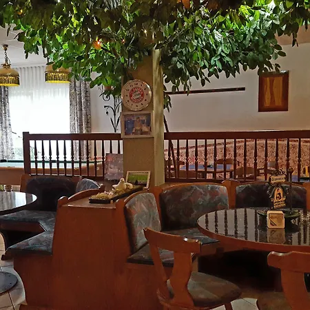 Hotel-gasthaus Steiger Ξενοδοχείο Gräfenthal