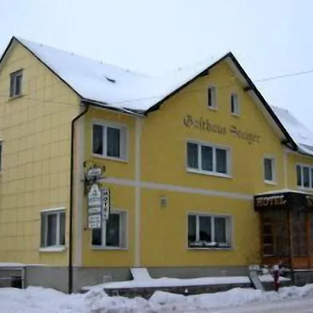 Hotel-gasthaus Steiger ホテル 3*