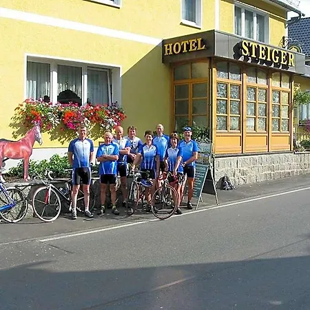 Hotel Hotel-gasthaus Steiger 3*