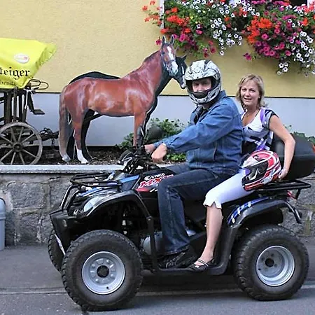 Hotel-gasthaus Steiger 3* Gräfenthal