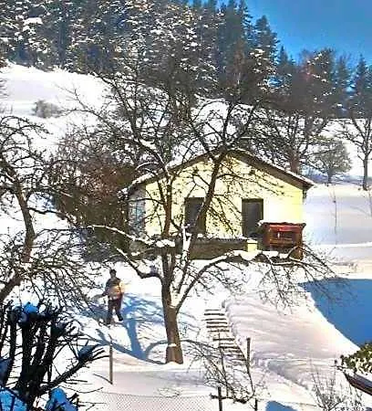 Hotel-gasthaus Steiger 3*