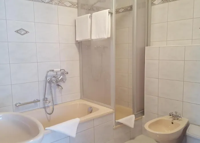 Hotel-gasthaus Steiger 3*