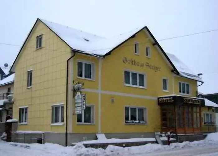Hotel-gasthaus Steiger Hotel 3*